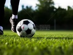 纽卡晋级欧,冠在望,埃迪,雪缘园足彩比分网,足球赛事平台,足球比赛比分,足球赛事数据,足球赛事信息