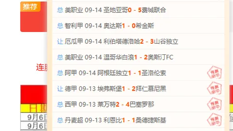 2026亚冠小组赛焦点战足球赛事平台：上海申花主场激战淡滨尼流浪，观众爆棚24024人见证